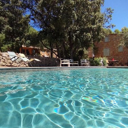 La Bergerie Des Colles Bed and Breakfast Entrecasteaux Εξωτερικό φωτογραφία