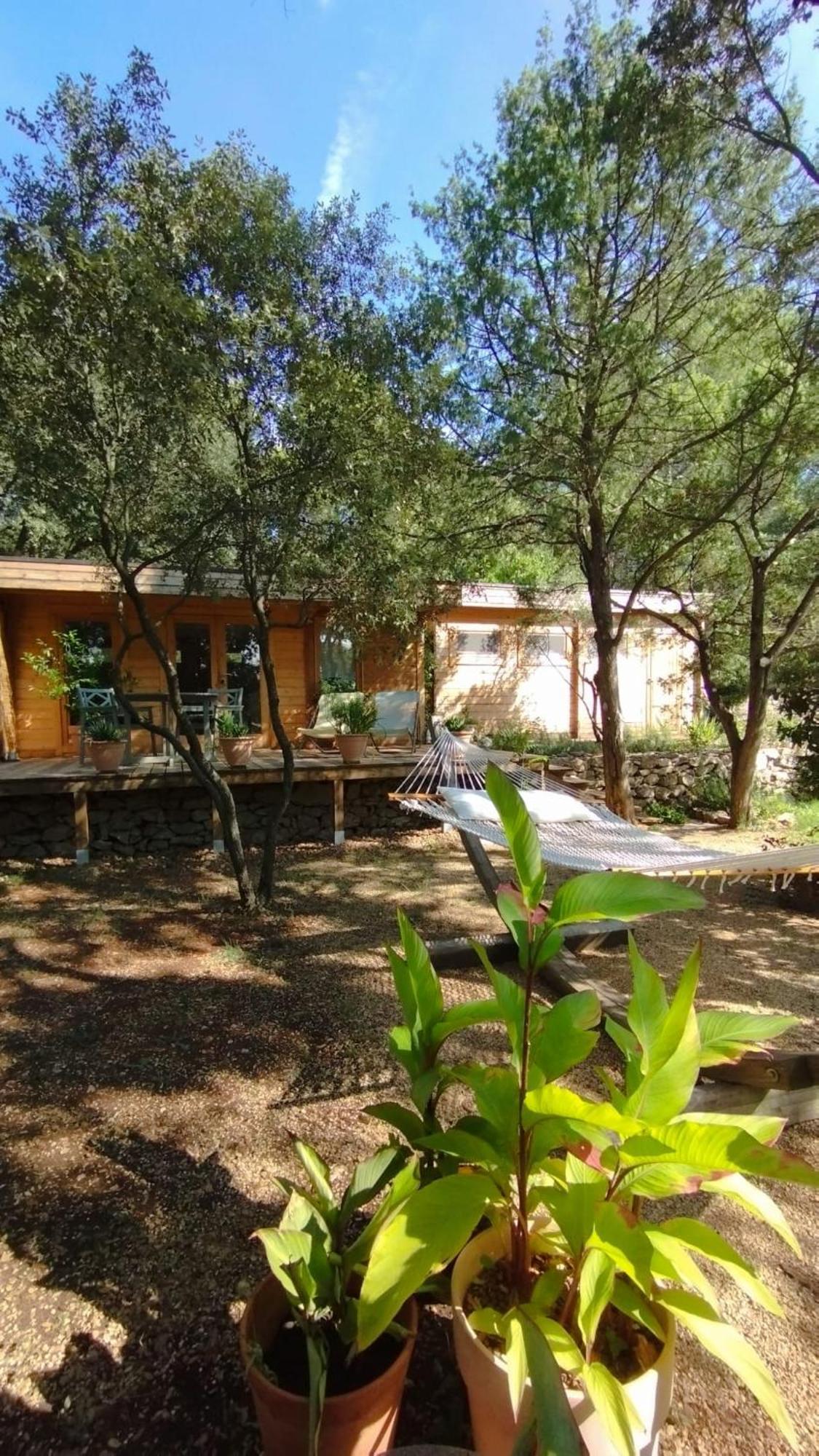 La Bergerie Des Colles Bed and Breakfast Entrecasteaux Εξωτερικό φωτογραφία