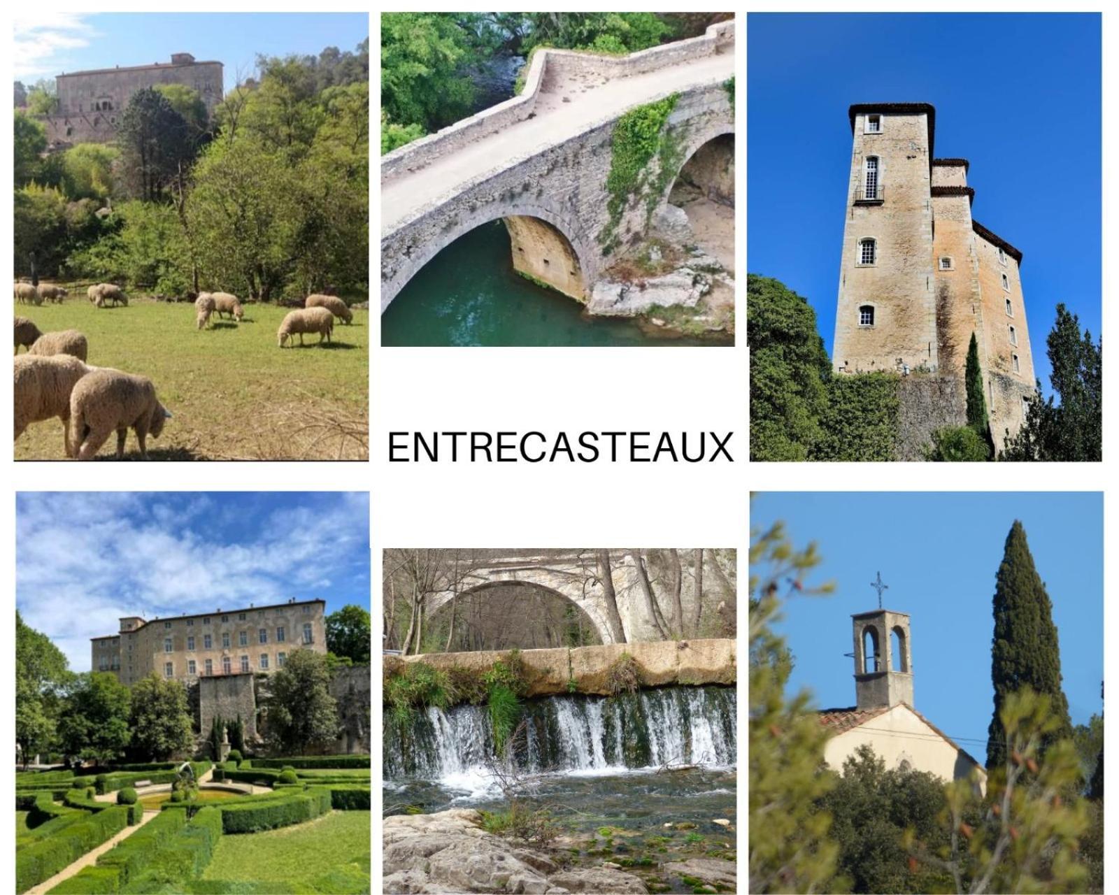 La Bergerie Des Colles Bed and Breakfast Entrecasteaux Εξωτερικό φωτογραφία