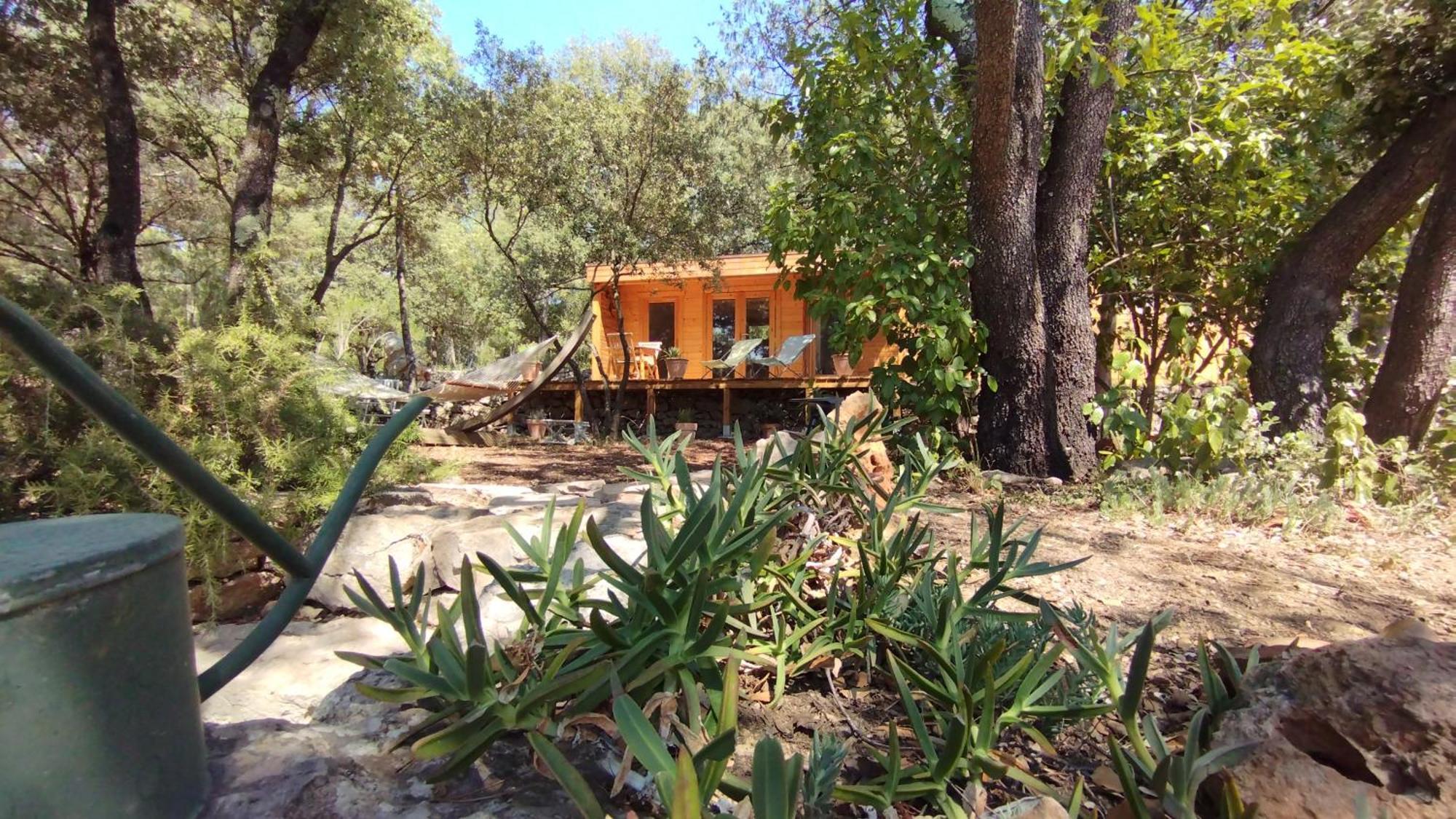 La Bergerie Des Colles Bed and Breakfast Entrecasteaux Εξωτερικό φωτογραφία