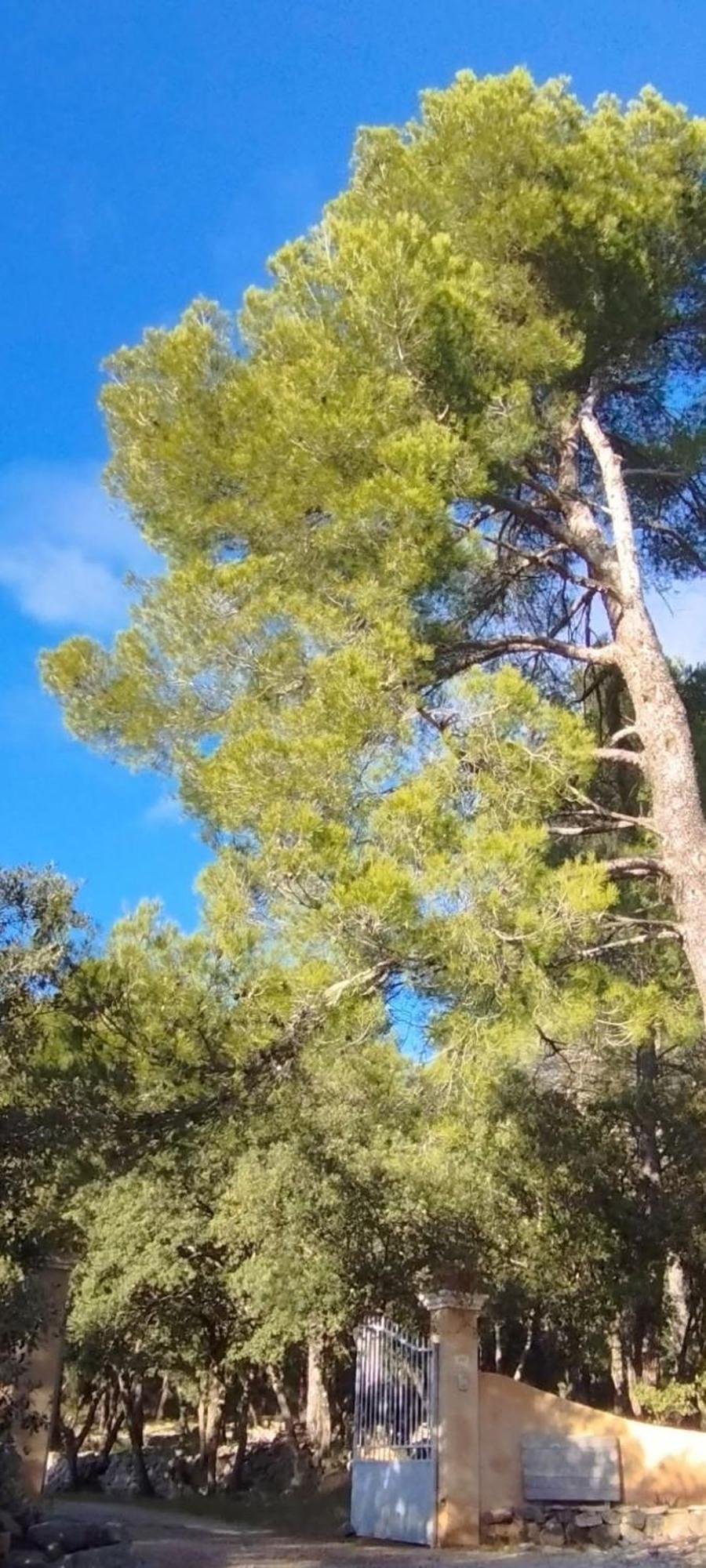 La Bergerie Des Colles Bed and Breakfast Entrecasteaux Εξωτερικό φωτογραφία